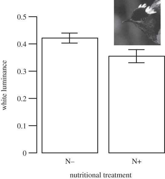 Figure 2.