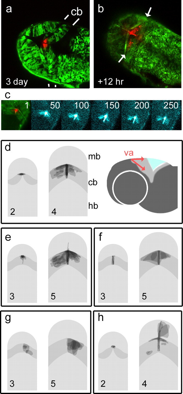 Figure 4.