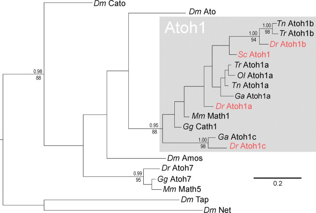 Figure 6.