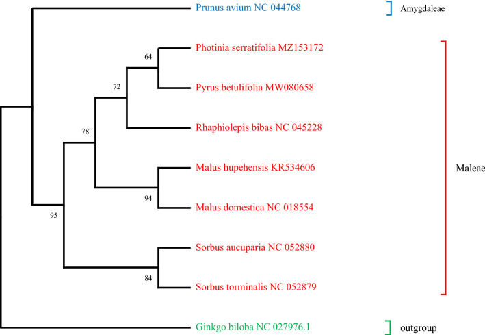 Figure 10