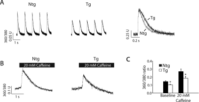 Figure 5