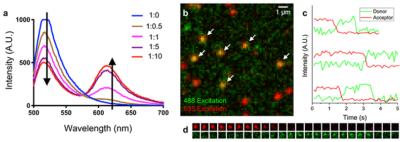 Extended Data Fig. 3