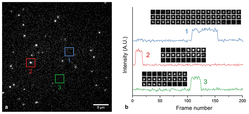 Extended Data Fig. 2