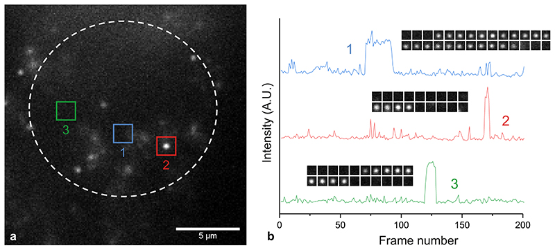 Extended Data Fig. 7