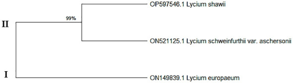 Figure 4