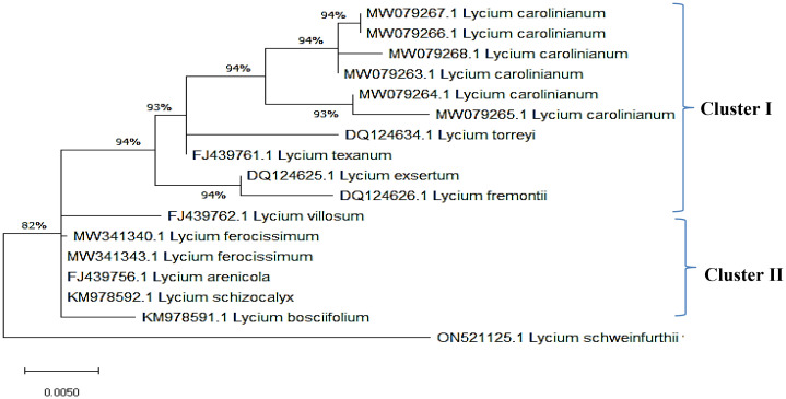 Figure 7