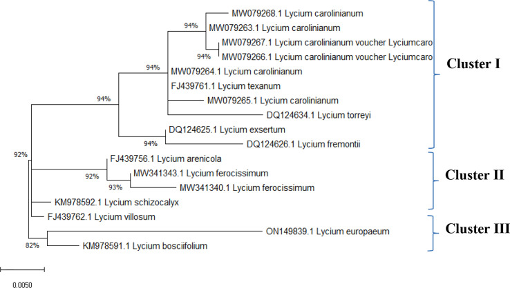 Figure 5