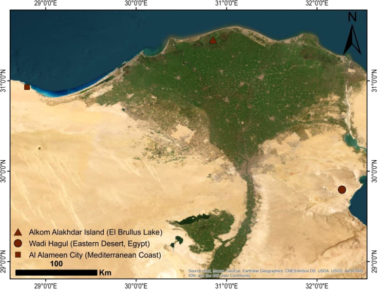 Figure 2