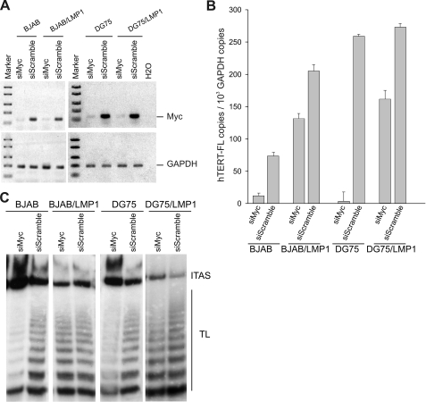 FIG. 8.