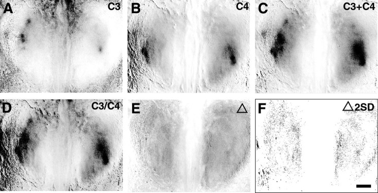 Fig. 8.