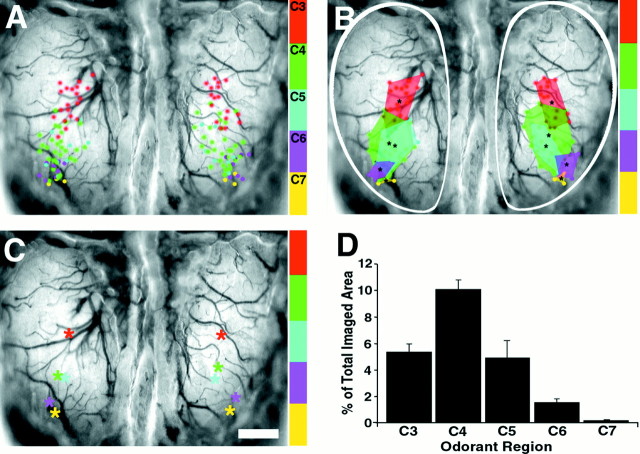 Fig. 6.