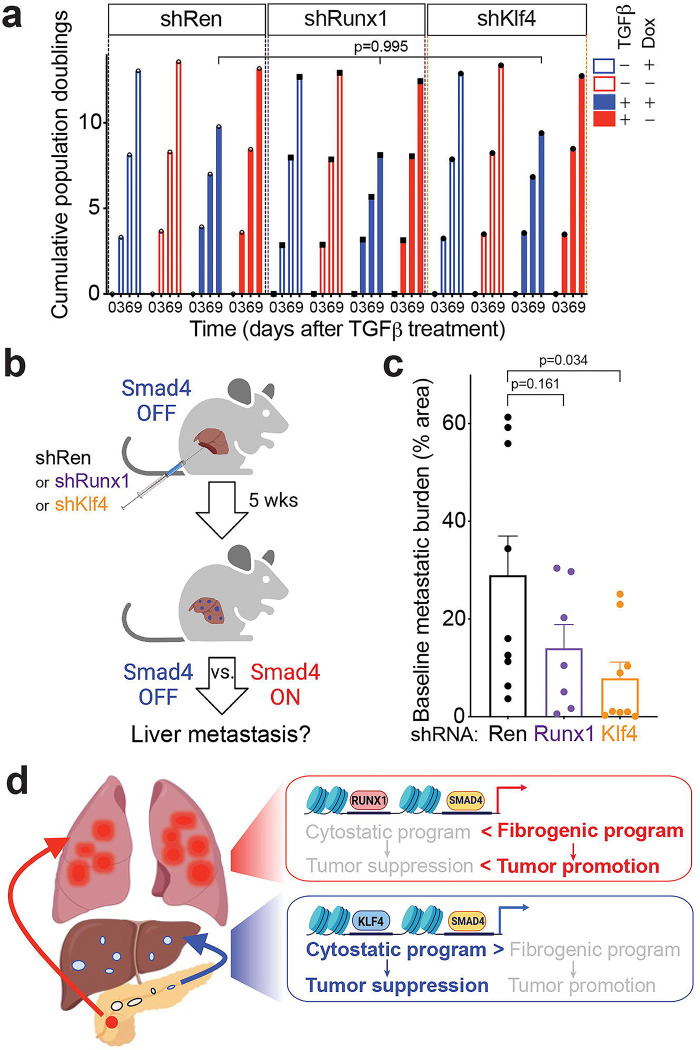 Extended Data Figure 5.