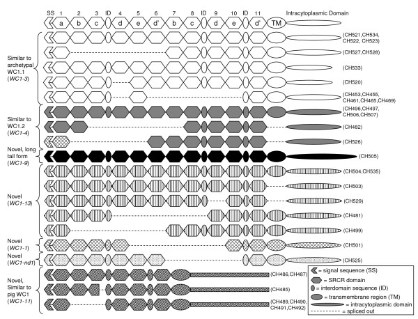 Figure 10