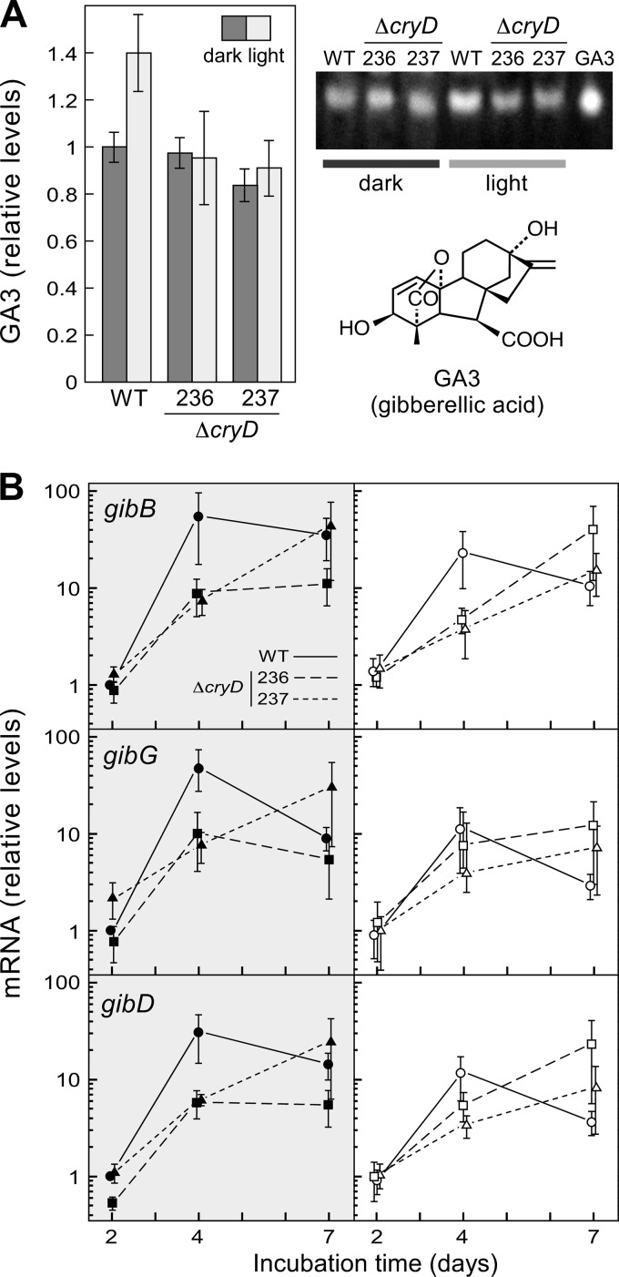 Fig 8