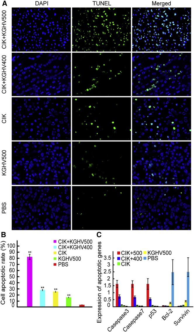 Figure 6