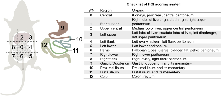 Figure 4