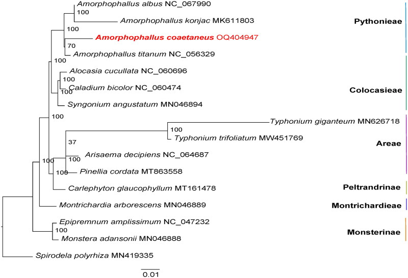 Figure 3.