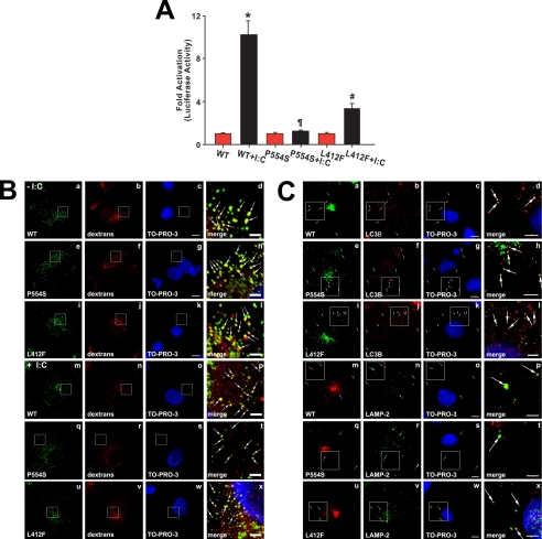 FIGURE 4.