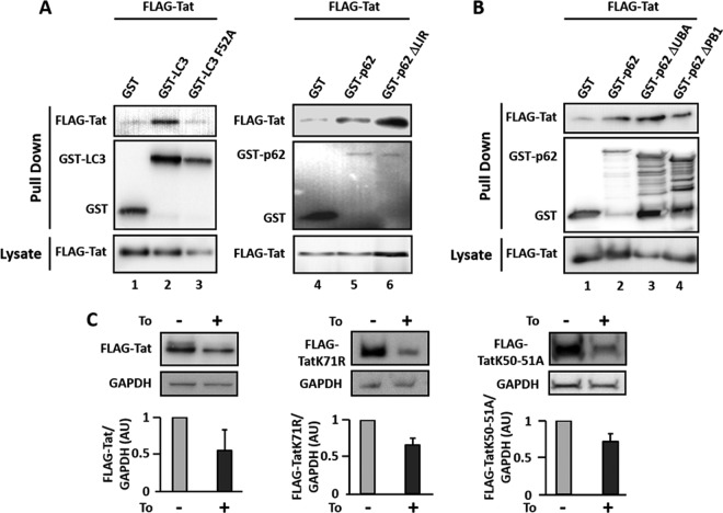 FIG 3