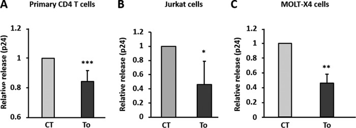 FIG 1