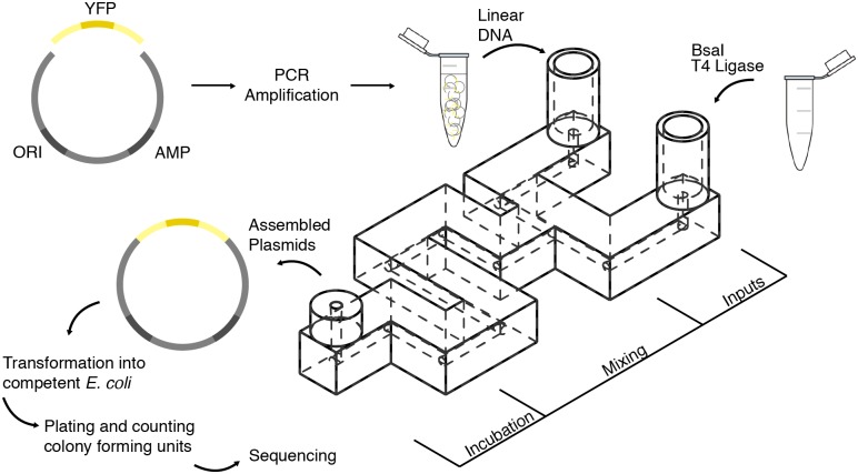 Fig 1