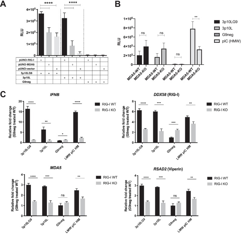 FIG 2