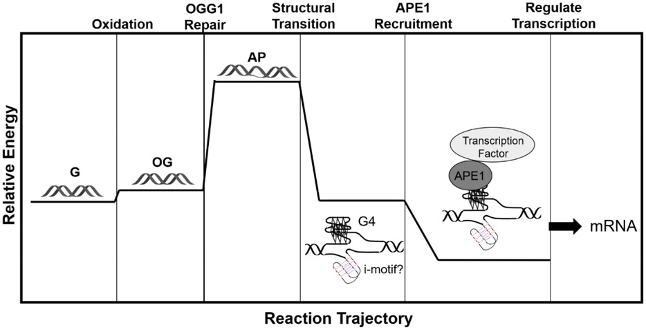 Figure 9.