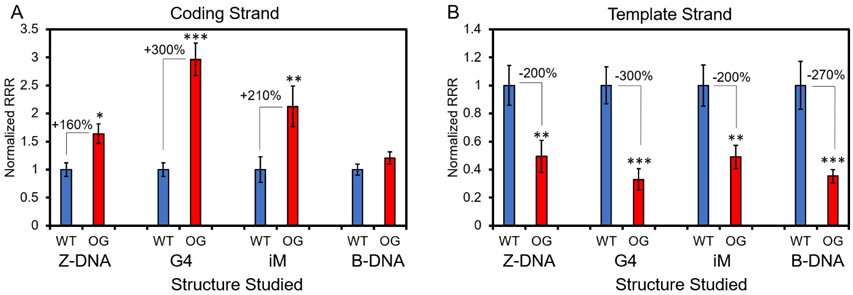 Figure 13.