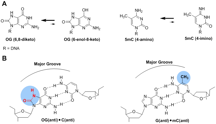 Figure 11.