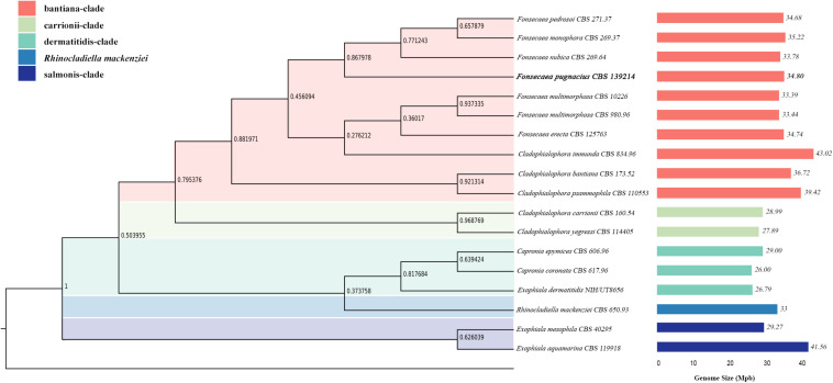 FIGURE 1