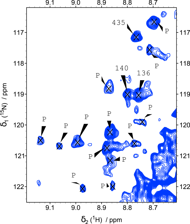 Figure 6