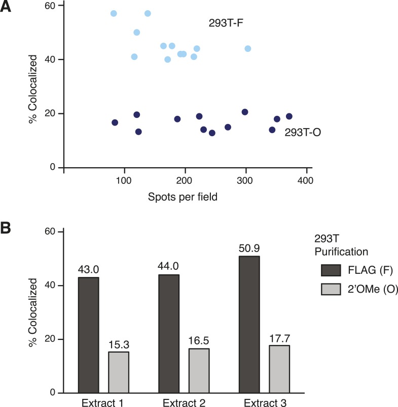 Figure 2—figure supplement 1.