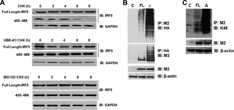 FIG 6