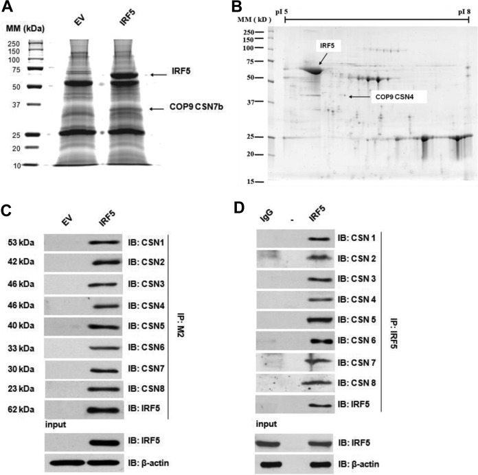 FIG 1