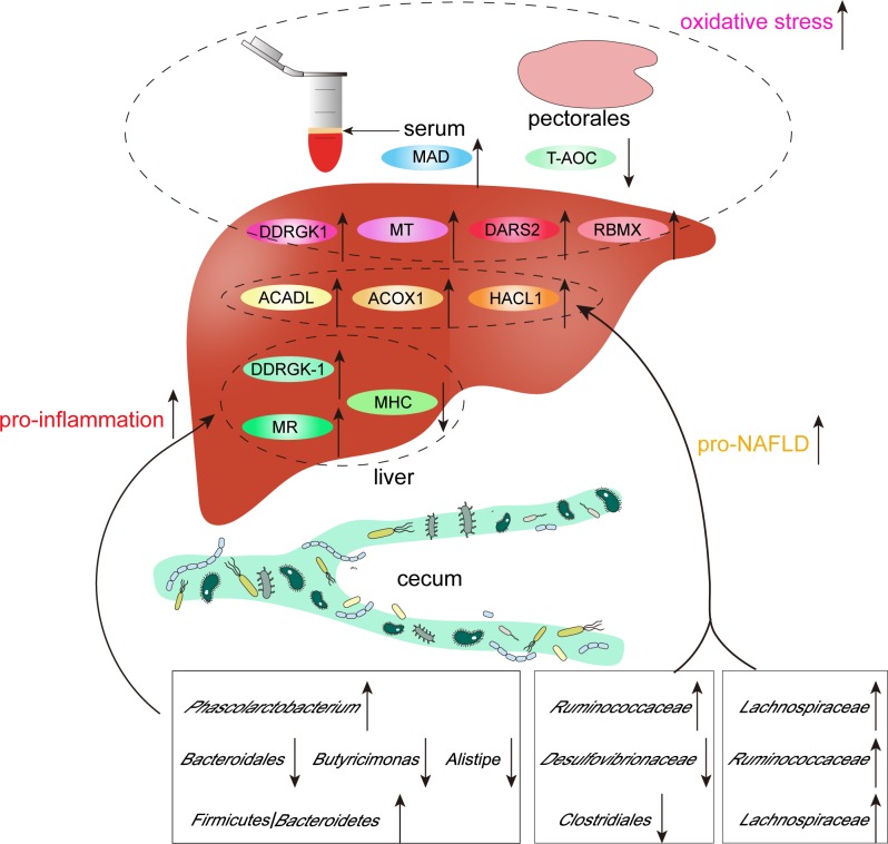 Fig 6