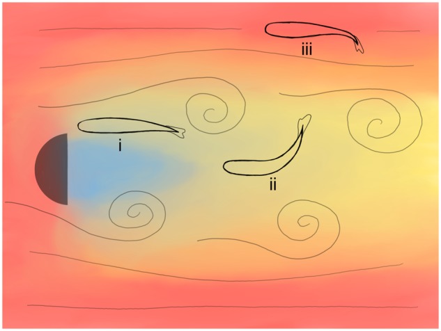 Fig. 2