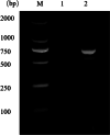 Fig. 2