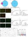 Extended Data Fig. 7.