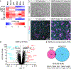 Extended Data Fig. 6.