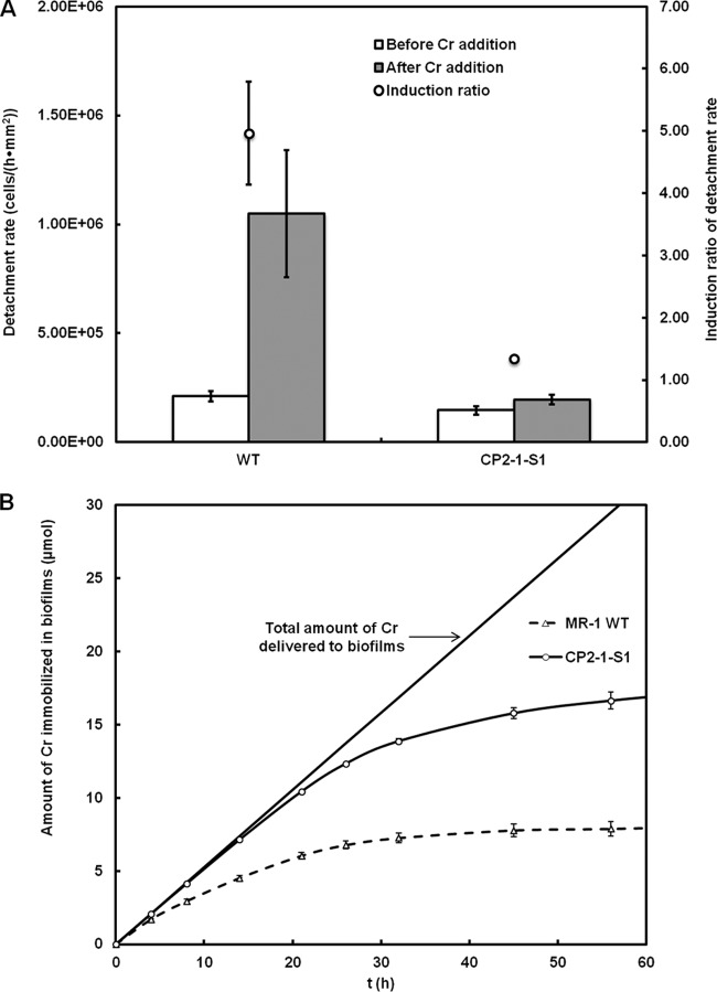 FIG 2