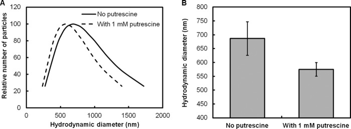 FIG 6