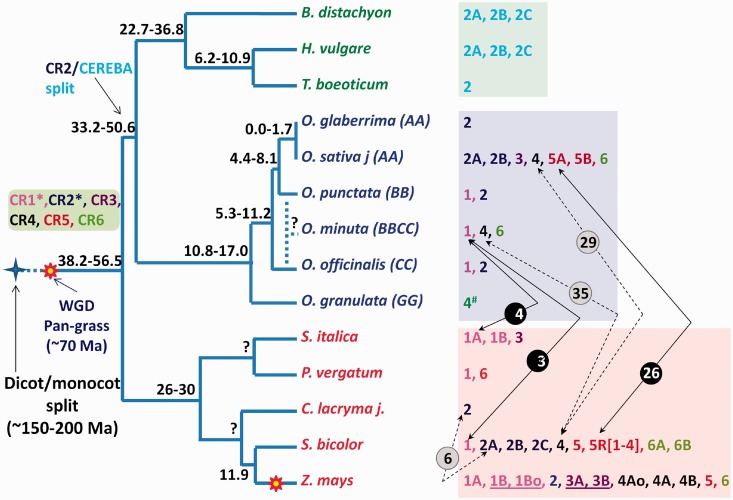 Fig. 4.—