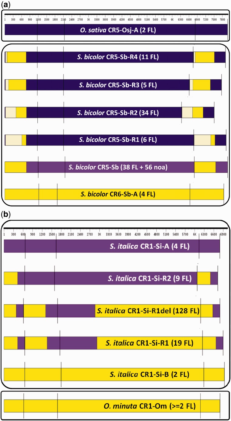 Fig. 3.—