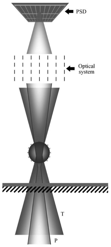 FIG. 6