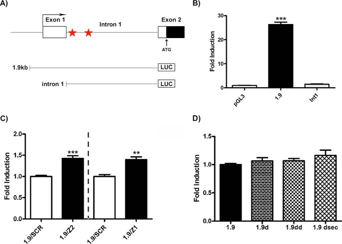 FIGURE 4.