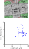 Figure 1—figure supplement 1.