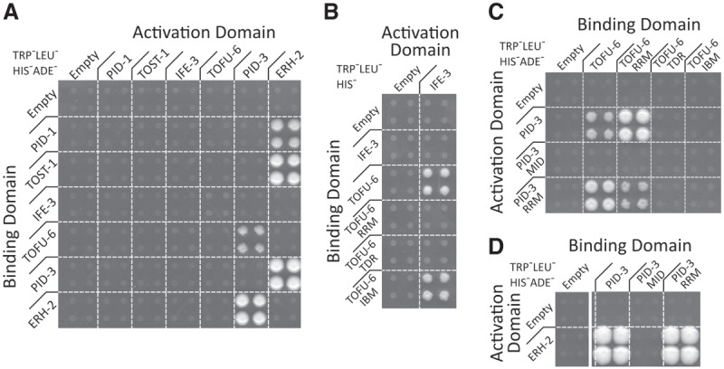 Figure 3.