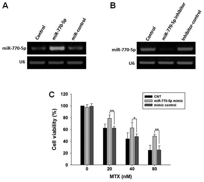 Figure 2.