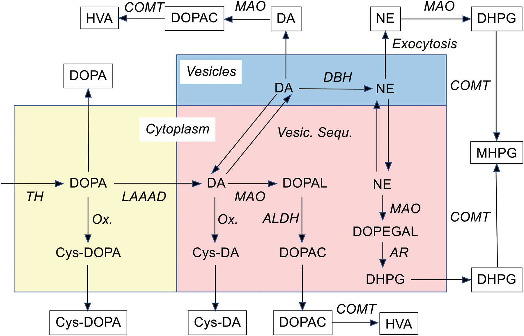 Figure 1: