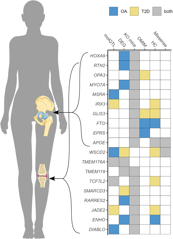 Figure 4